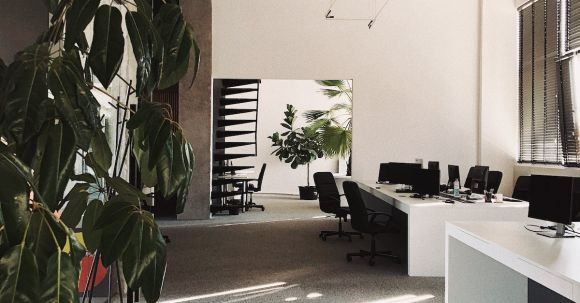 Office Chairs - Spacious Workplace with Indoor Plants